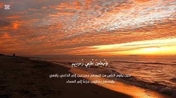 تلاوة هادئة في غاية الروعة 💥❤️❤️❤️😍💥 ولا تحسبن الله غافلاً عما يعمل الظالمون @تلاوات هادئة 