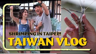 Shrimping in Taiwan! (Catch, Clean &amp; Cook!)