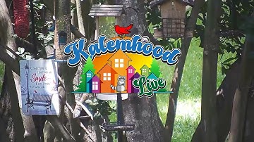 Kalemhood LIVE STREAM Wildlife Cam 🟢 Live Scott County,MS Scanner Audio