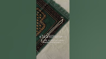 تلاوة هادئة بصوت القارئ عبدالرحمن مسعد || حالات قران كريم 🌿|| اجمل تلاوة هادئة || قران كريم ||