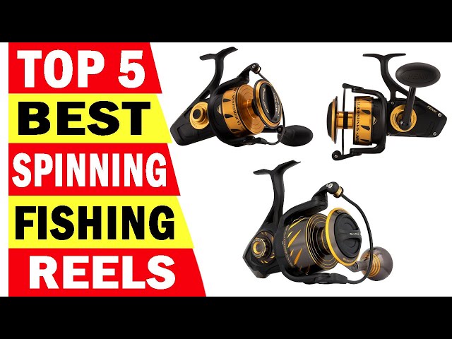 Top 5 Best Spinning Fishing Reels In 2024  5 Best Slammer IV Spinning  Fishing Reels 