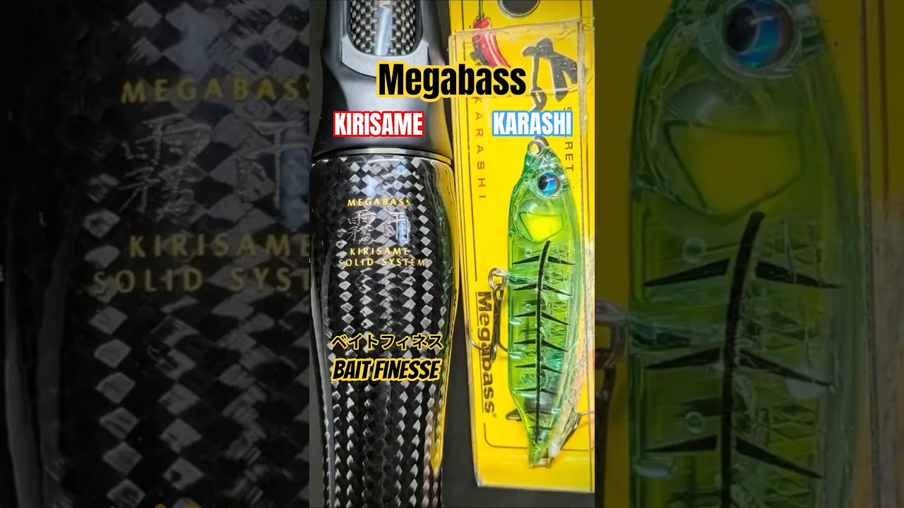 EXTREME】Megabass KIRISAME x KARASHI | This setup is almost