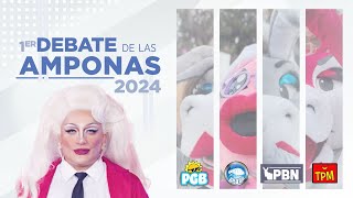 DEBATE DE LAS AMPONAS  |  2024