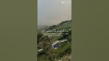 قران كريم اكتب شيء تؤجر عليه #الرحمن #المصحف #راحة_نفسية #اكسبلور #لايك