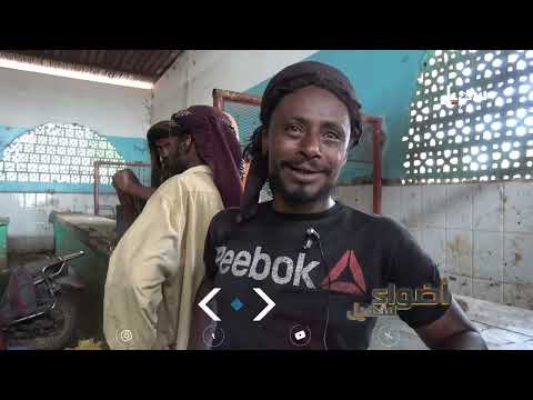Supply Shortages Push Fishmongers Toward Unemployment