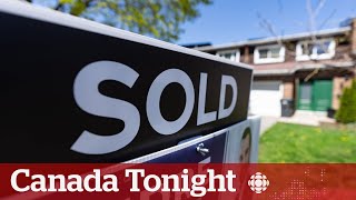 Interest rate cut a relief, but won't make winds turn: mortgage expert | Canada Tonight