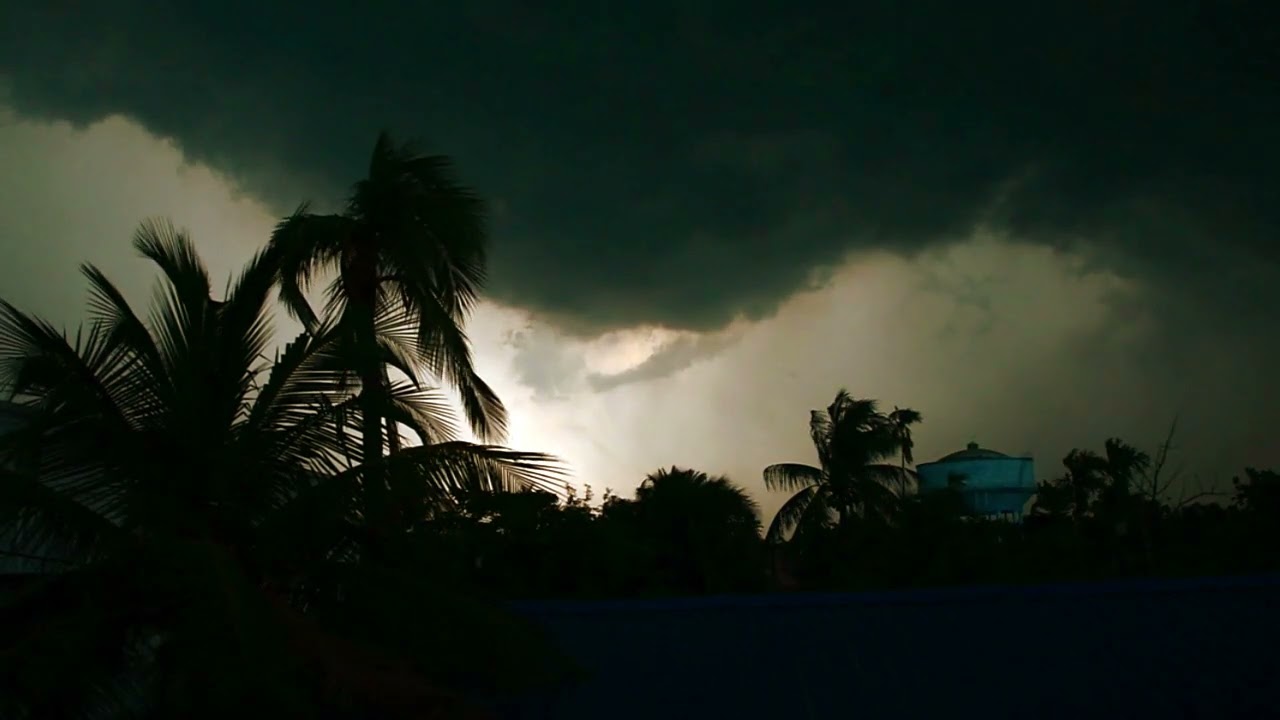 Watch relaxing tropical storm frequency on YouTube Watch relaxing tropical storm frequency on YouTube