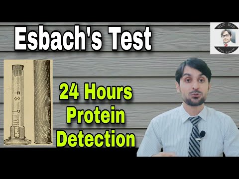 Video: 24-timmars Urinproteintest: Syfte, Förfarande Och Resultat