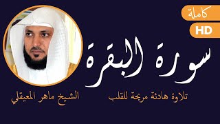 سورة البقرة (كاملة)|بصوت الشيخ ماهر المعيقلي| تلاوة خاشعة  -Sourat al baqara maher almaaiqli screenshot 5