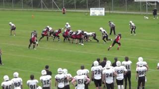 Steven Wilken Triangle Razorbacks