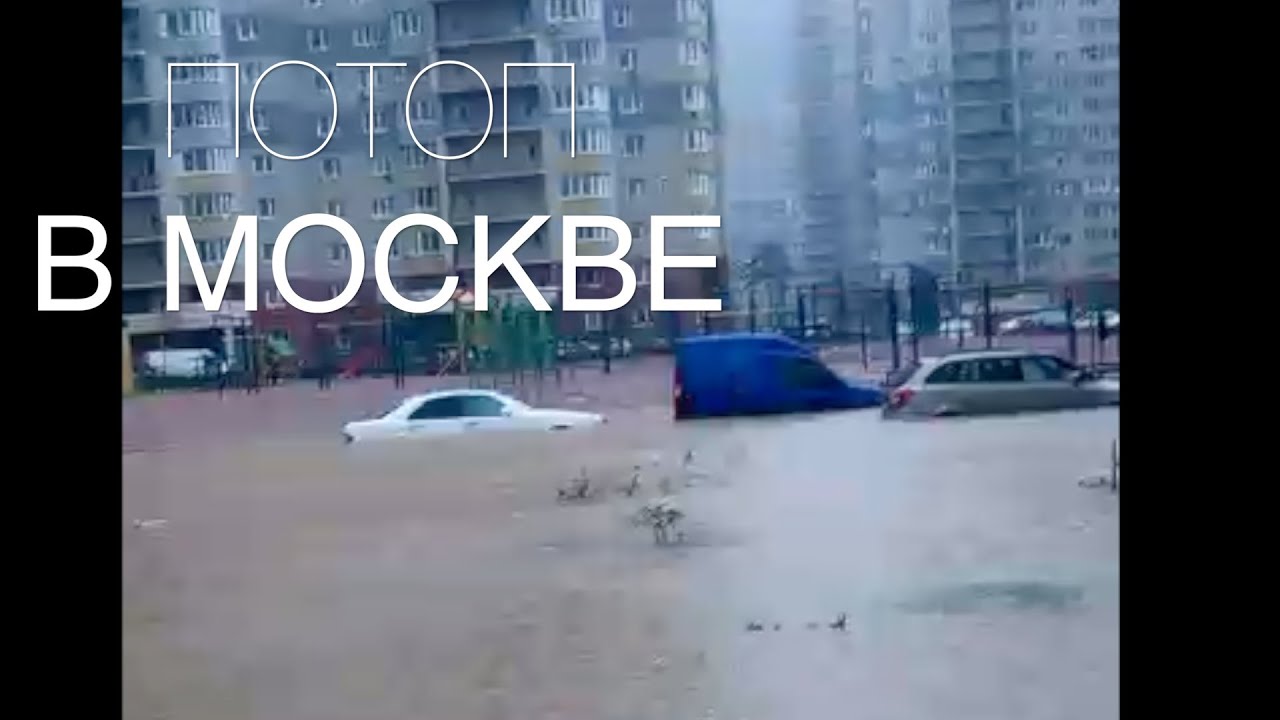 Машины и их хозяева