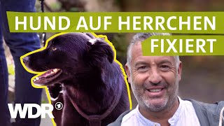 Wenn der Hund Distanz braucht | Hunde verstehen S01/E05 | Tierratgeber | WDR