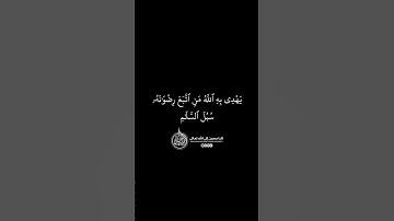 ماهر المعيقلي - سورة المائدة ( برواية حفص عن عاصم ) الأية 16