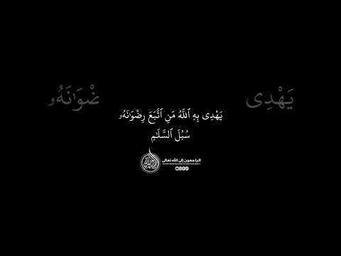 ماهر المعيقلي سورة المائدة برواية حفص عن عاصم الأية 16