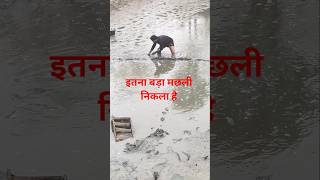 technical video #viral