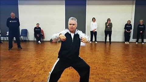 Mastering Tai Chi Single Whip Lao Shi Damon Bramich