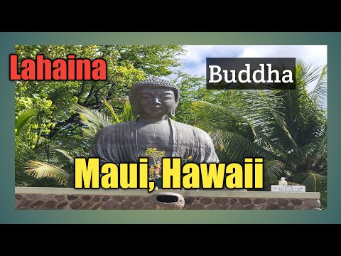 Video: Exploring Lahaina Jodo Mission Lahaina, Maui