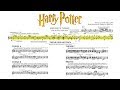 "Hedwig's Theme" - Harry Potter (Score Reduction & Analysis)