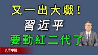 又一出大戲！習近平開始要動紅二代了。《真實中國》