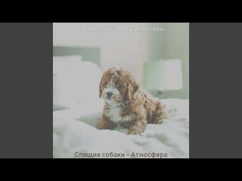 Легко слушать Музыка для собак - Атмосфера (Спящие собаки)