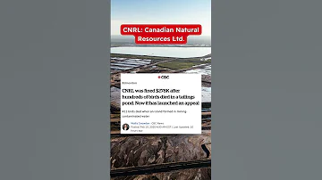 CNRL Fined 278K After Hundreds Of Birds Died In A Tailings Pond 