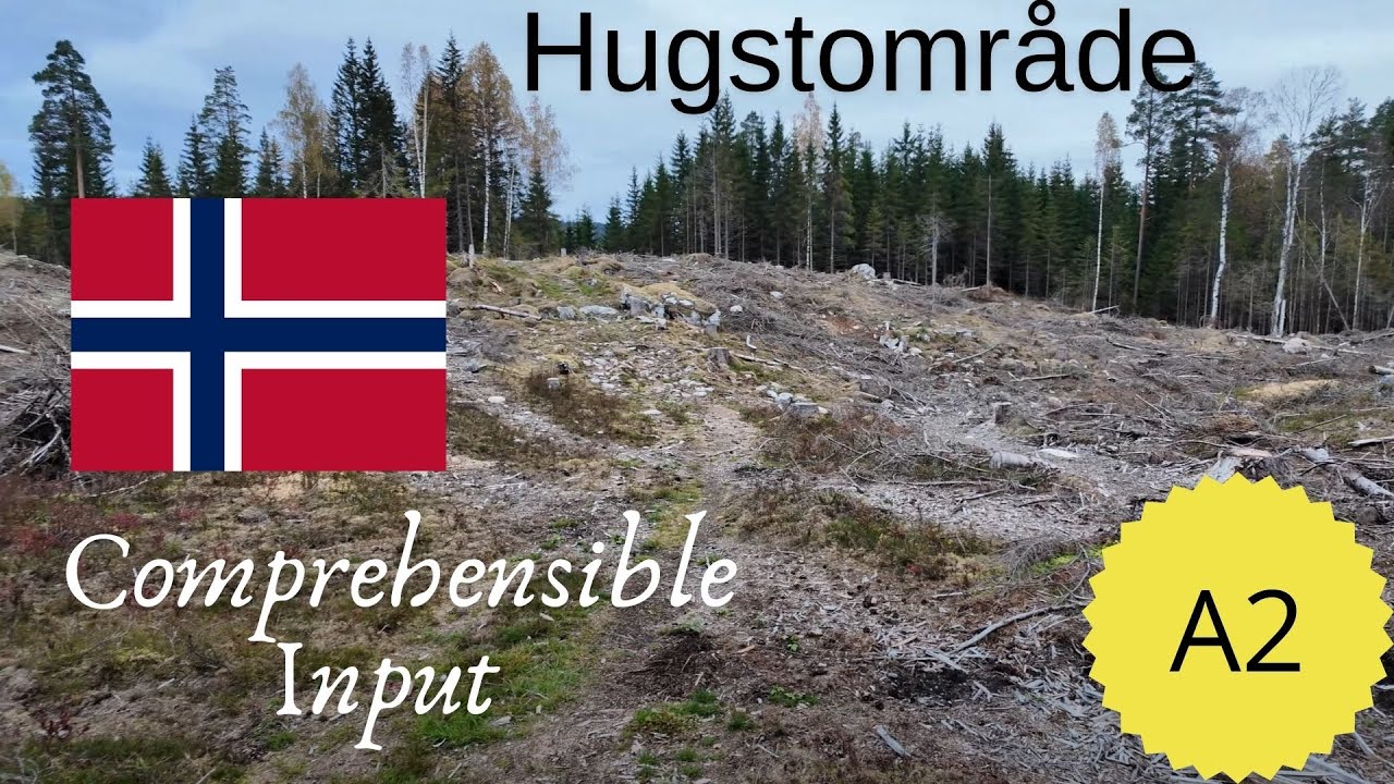 Logging | Comprehensible Input Norwegian