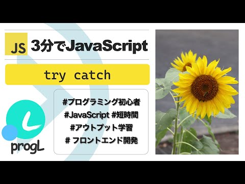 【3分でJavaScript講座】try catch文