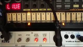 TB303 accent attempt on Korg volca bass and beats