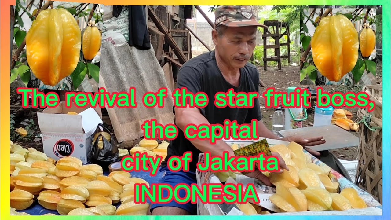 The revival of the star fruit boss, the capital city of Jakarta.( INDONESIA )