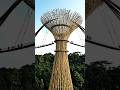 How Engineers Built an Impossible Bamboo Skybridge Resort#BambooSkybridge #Construction#Architecture