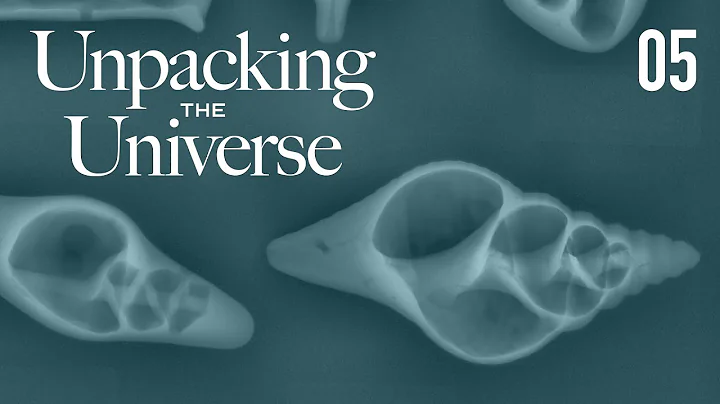Ep 5 The magic of shells | Unpacking the Universe:...