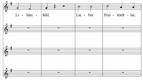 Mozart - Lieber Freistadtler, lieber Gaulimauli