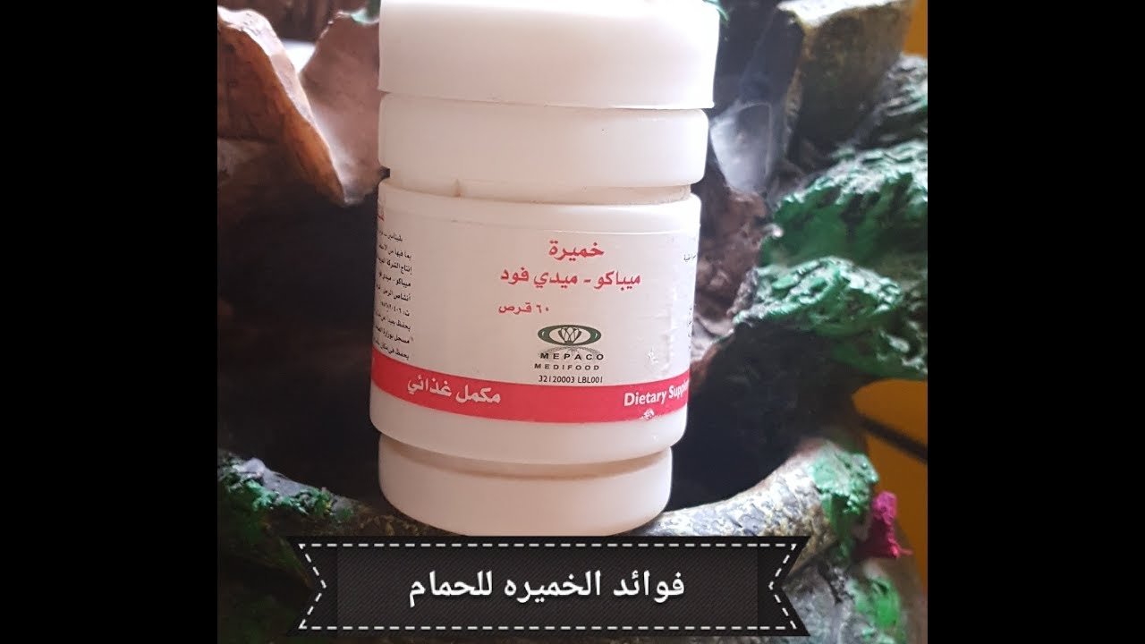 الخميره وفوائدها عند الحمام لا غنى عنها لكل مربى الحمام