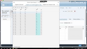 SAP Asset Accounting - Create Asset / Purchase Order Process
