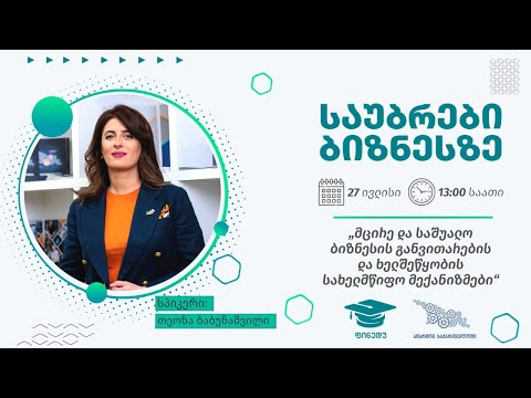 მცირე და საშუალო ბიზნესის განვითარების და ხელშეწყობის სახელმწიფო მექანიზმები