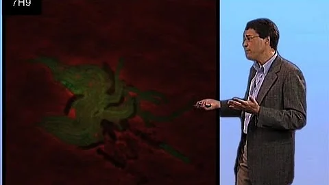 Drug-tolerant mycobacteria persisters - John McKinney (EPFL)