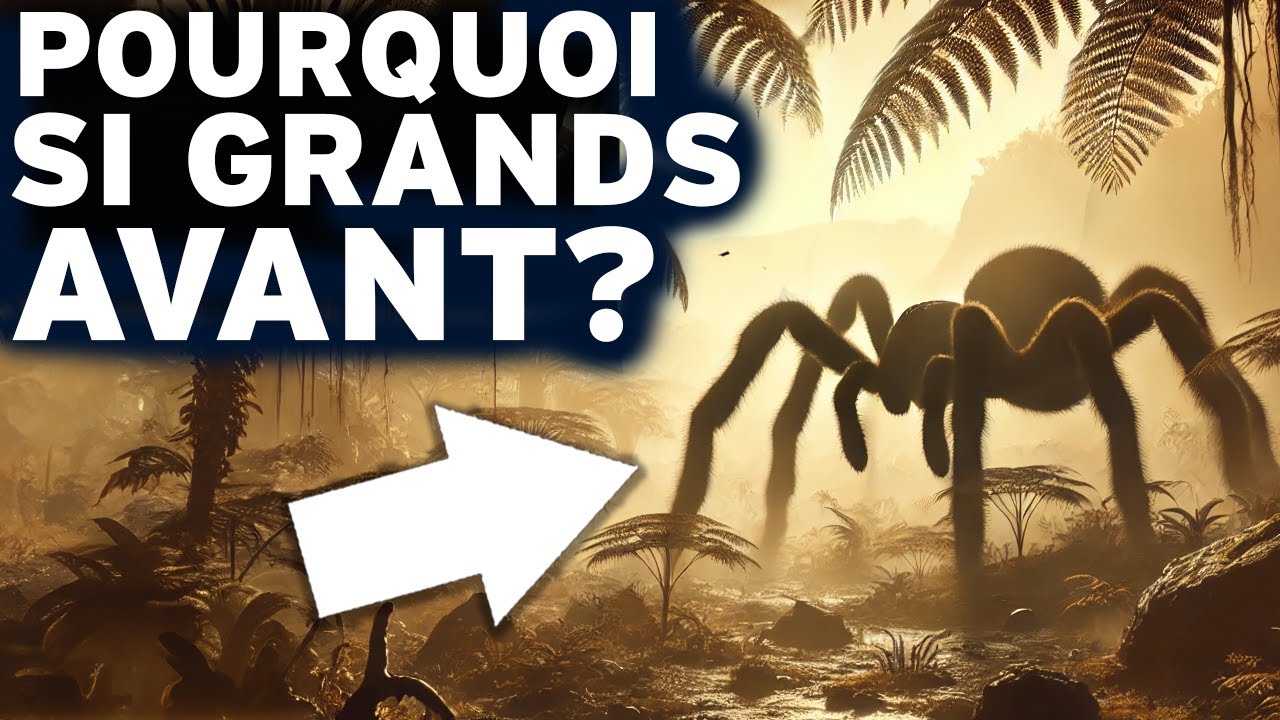 A quoi ressemblait la Terre à l'Époque des Insectes Géants ? | Documentaire Histoire de la Terre