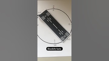 This is Why Runways Have Numbers! 😳 | Shockify Facts