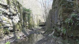 Thames and Severn Canal, End to End
Filmed before proper restoration began the Thames and Severn Canal in the raw
Home to the adventurous subscriber. As well as films we have a bi-weekly Vlog to keep up to date on the previous and next week’s videos, and a chance for all to air their views on a variety of subjects, why not join in.
My passion has been walking, a while ago I was diagnosed with Parkinson’s and walking does not come naturally any more, however the more I walk the easier it gets, for now anyway. I hope these videos will inspire others to keep going and hanging on in there. I try to cover variety of subjects, such as old abandoned railways, and canals. I love the Forest of Dean in Gloucestershire, with its rich history and I usually take my camera whenever we holiday in the southwest and Cornwall. The rugged coastal paths are a magnet for anyone who loves dramatic scenery. I live close to the Cotswolds Hills and have done quite a lot of walking around there, recently, following some of the lovely rivers. Hill walking on the Malvern’s is a challenge but worth the effort. I try not to let Parkinson’s get me down and take every opportunity to get out with my camera and film, I hope you enjoy watching. P.W. Thames and Severn Canal, End to End