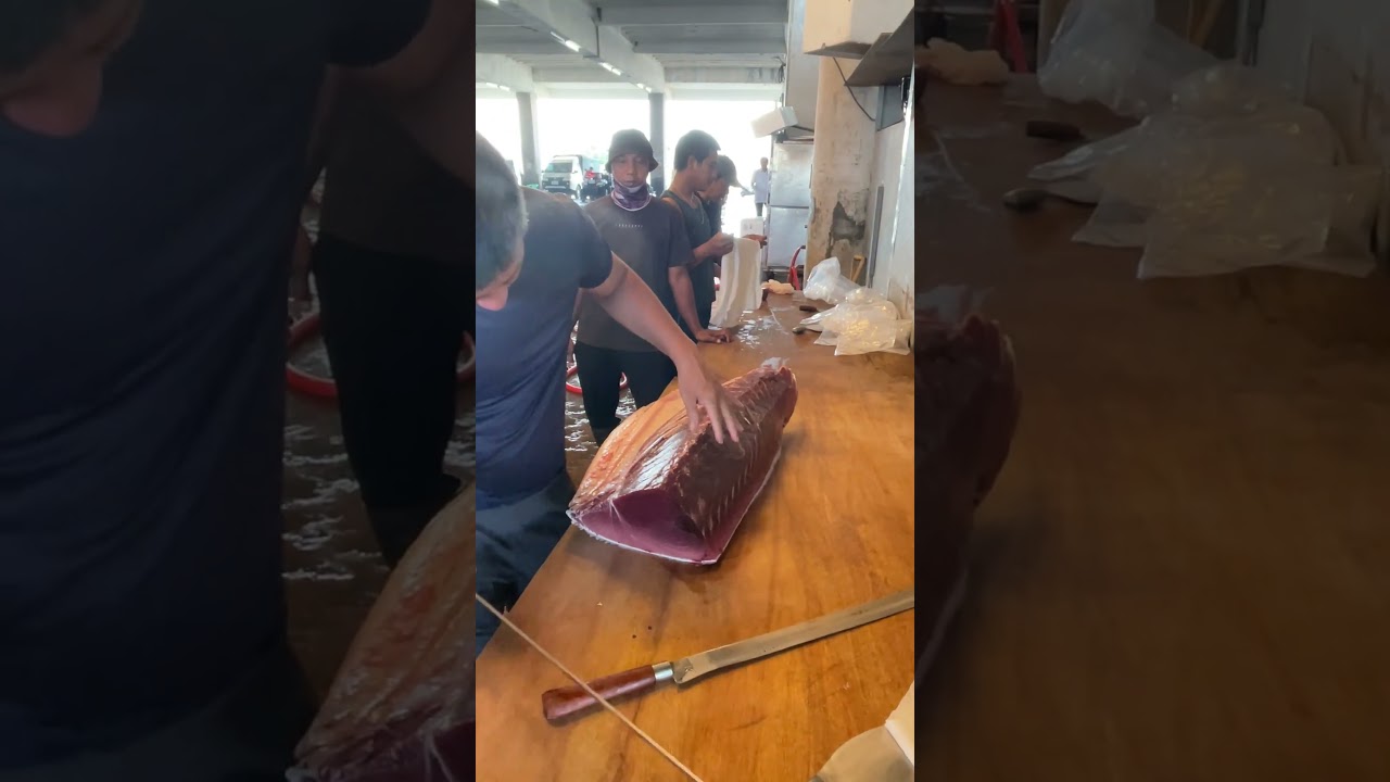 Taiwan’s Lively Tuna Market—Watch the Action Unfold! 🐟💥⚓ 