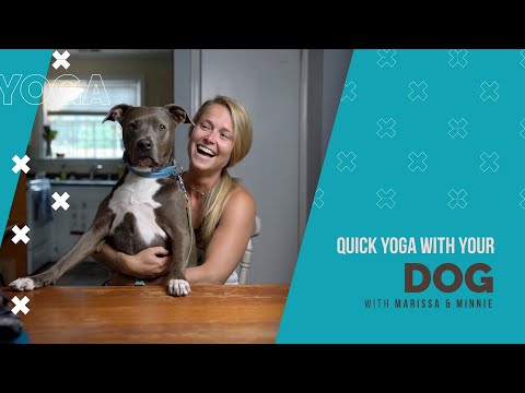 Video: 3 manieren om yoga te doen met je hond