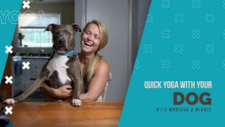 Quick Yoga with Your Dog