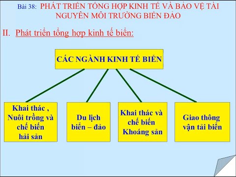 Địa lý 9 - Bài 38: Phát triển tổng hợp kinh tế và bảo vệ tài nguyên môi trường biển đảo