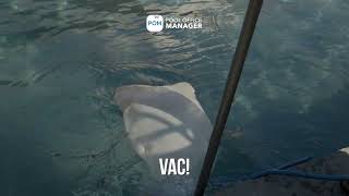 POM Software - Pool Openings