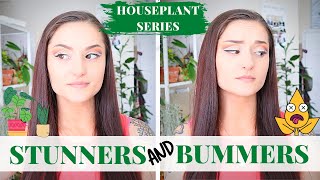 Stunners &amp; Bummers | Houseplant Series | Struggling Houseplants | Houseplants | Rare Houseplants