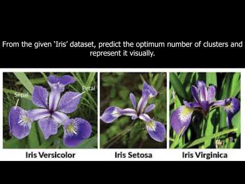 Use Scikit Learn - K Means Clustering Analysis with the Iris Data Set