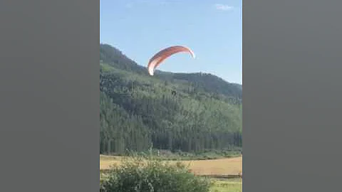 Brian and a Buzz of the ranch