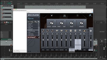 How To Route BFD Player Multichannel Output in Reaper