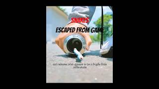 A Greedy Snake Suddeny Breaks Into The Real World Movie Clips