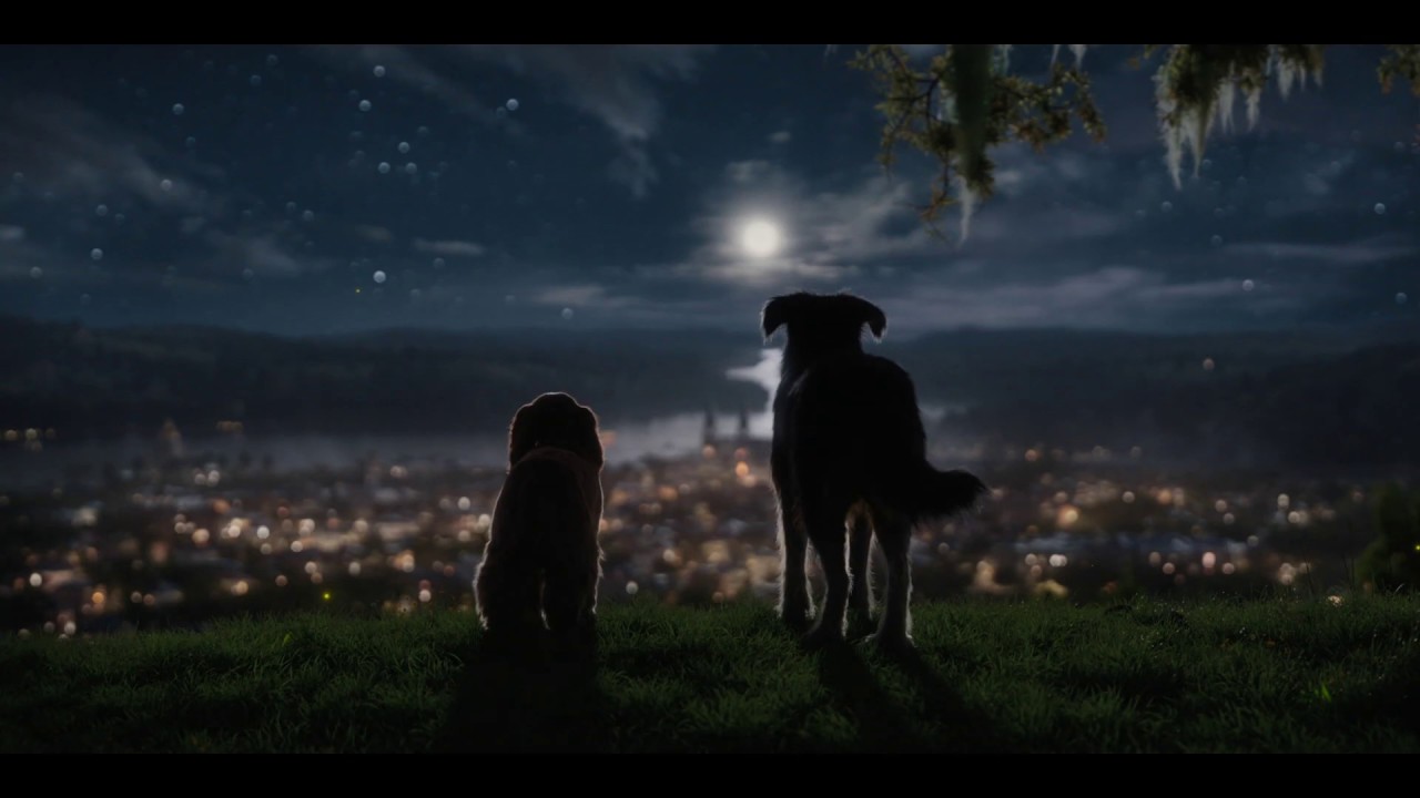 Lady and the Tramp | Dine :30 | Now Streaming - Lady and the Tramp | Dine :30 | Now Streaming